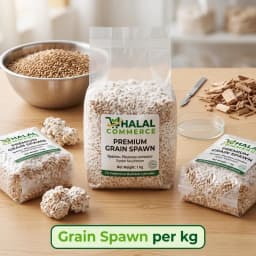 Grain Spawn Per KG